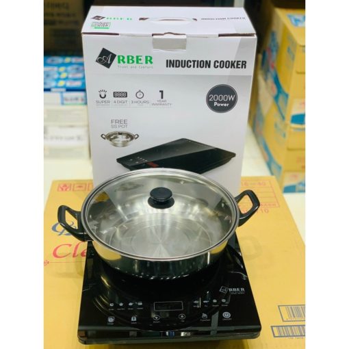 AB301A 1 - BẾP TỪ ĐƠN ARBER AB301A