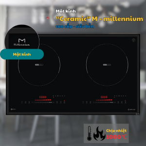 6 STL 220C - BẾP TỪ SPELIER STL 220C