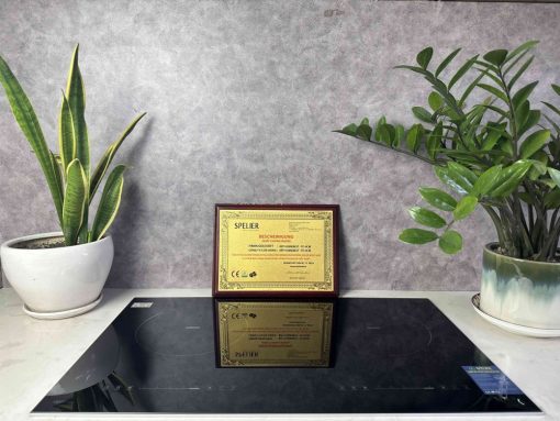 img 9434 - BẾP TỪ ĐÔI SPELIER SPV T06