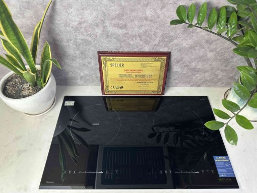 img 9436 - BẾP TỪ ĐÔI SPELIER SPV T06