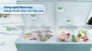 tu dong kangaroo kg415g2d8 - Tủ đông Kangaroo KG415G2D