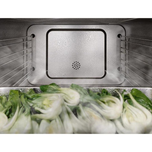 Lo nuong ket hop hap MIELE DG 2840 6 - Lò nướng kết hợp hấp MIELE DG 2840