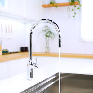 voi rua bat nobili ring nb131l mp117137cr 1 - Vòi rửa bát NOBILI RING NB131L MP117137CR voi rua bat nobili ring nb131l mp117137cr 1 - Vòi rửa bát NOBILI RING NB131L MP117137CR