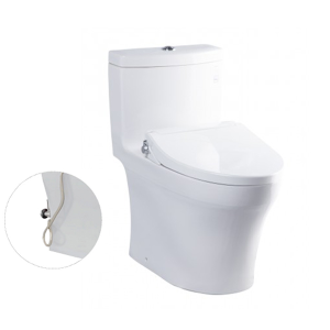 Bàn cầu một khối nắp đóng êm TOTO MS889DRE2