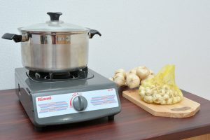 150g1 - Bếp Gas Rinnai RV-150(G)