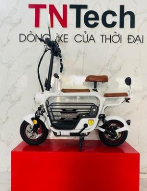 335457091 533125592193611 3316817514111451649 n - xe điện Lihaze