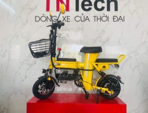 337672921 187225857393057 5180499545786881888 n - Xe điện Theli hotgirl