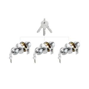 489 10 - Bộ khóa tròn có chìa chủ Hafele 489.93.252