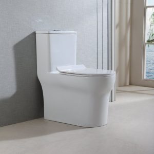 Bồn cầu một khối Hafele SEINE 588.82.405