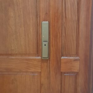 KHÓA VÂN TAY BOSCH FU750 EU MÀU ĐỒNG