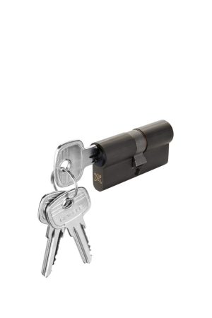 Ruột khóa cửa đi màu Graphite Black Hafele 916.63.900