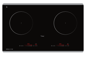 Bếp từ CANZY CZ 930I