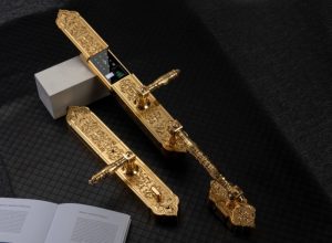 KHÓA CỬA ĐẠI SẢNH HUBERT HB DS99