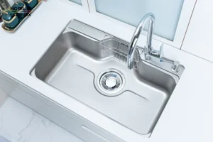 NOB09442 copy rZScPPLr - CHẬU RỬA BÁT NOBINOX LIKEN NL725D