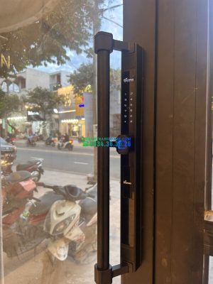 SL808 BN LUX 8 - KHÓA THÔNG MINH DEMAX SL808 BN LUX