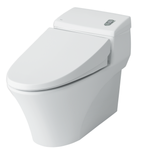 Bàn cầu 1 khối Inax AC-1008VRN