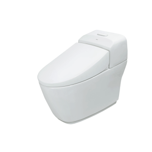 Bàn cầu 1 khối Inax AC-1032VN