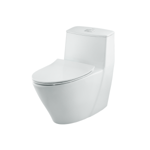 Bàn cầu một khối Inax AC-919VRN