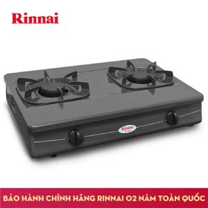 Bếp gas 6 tấc Rinnai RV-360GM, Chén gang đúc