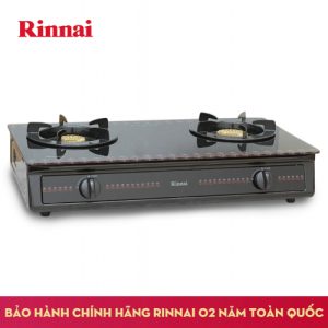 Bếp gas 6 tấc Rinnai RV-3615GL(FB), Chén đồng mặt kính