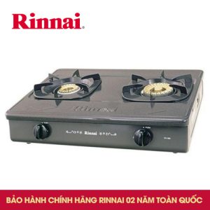 Bếp gas 6 tấc Rinnai RV-365G(N), Chén đồng có đầu hâm