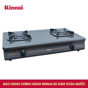 Bếp gas 7 tấc Rinnai RV-287GN, Chén thép đúc