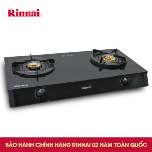 Bếp gas 7 tấc Rinnai RV-7 DOUBLE GLASS (B), Chén đồng có đầu hâm