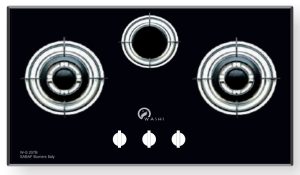 Bếp gas âm Washi W-G 207B