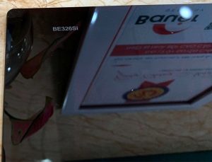 Bếp từ Bauer BE-326SI