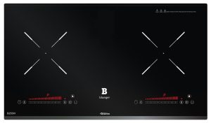 Bếp từ Blueger B255IH