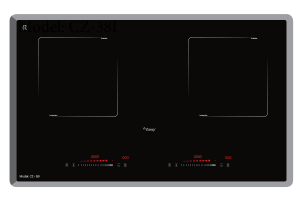 Bếp từ CANZY CZ 38I