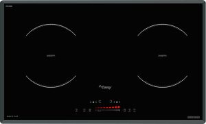bep tu canzy cz tl67a - Bếp từ Canzy CZ-TL67A