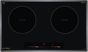 bep tu eurosun eu t710pro - Bếp từ Eurosun EU-T710Pro Gold