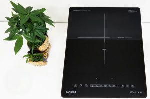 Bếp từ Fandi FD-119 MI