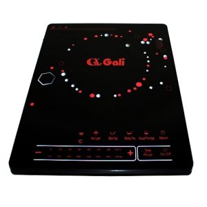 Bếp từ Gali GL-2016