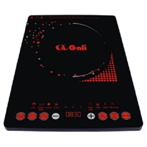 Bếp từ Gali GL-2017