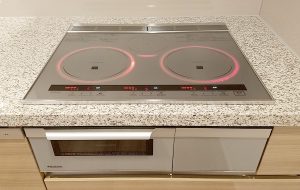 Bếp từ Panasonic KZ-W173S