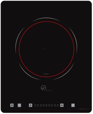 Bếp từ Washi D-01I