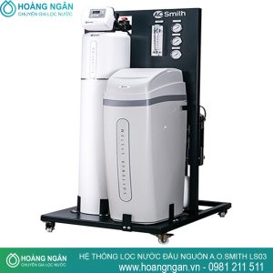 Hệ thống lọc nước đầu nguồn A.O.Smith LS03
