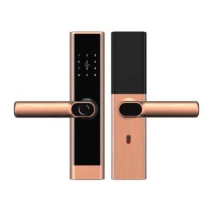 KHÓA CỬA VÂN TAY HUBERT HB CG39 COOPER