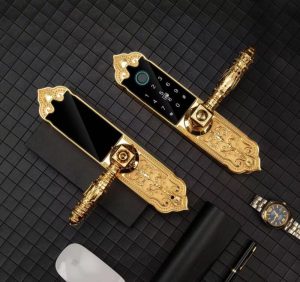 KHÓA CỬA VÂN TAY HUBERT HB DS99 MINI