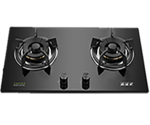 Bếp Gas Âm Faster FS 219S
