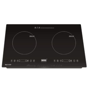 Bếp Từ Giovani G-252T