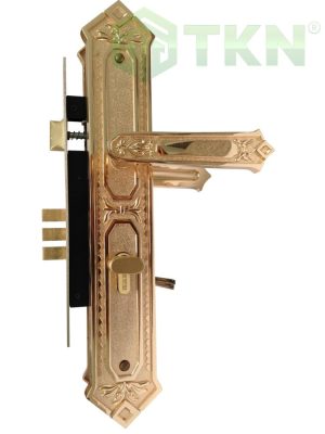 Khóa cửa sảnh chính Newera NE85-666E