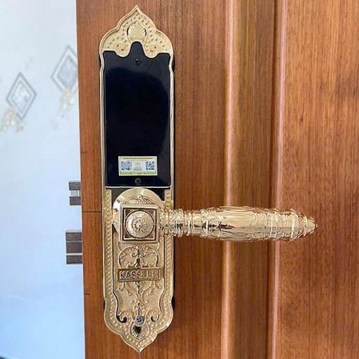khoa dai sanh kassler kl 919 app tieu chuan duc 1 - Khóa đại sảnh Kassler KL-919 APP tiêu chuẩn Đức