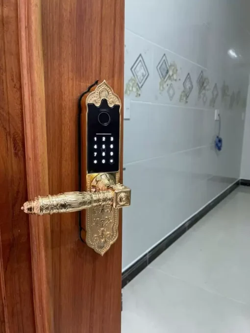 khoa dai sanh kassler kl 919 app tieu chuan duc 2 - Khóa đại sảnh Kassler KL-919 APP tiêu chuẩn Đức