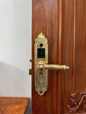 khoa dai sanh kassler kl 919 pro gold app 2 - Khóa Đại Sảnh Kassler KL-919 Pro Gold App tiêu chuẩn Đức