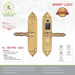 khoa dai sanh kassler kl 919 pro gold app4 - Khóa Đại Sảnh Kassler KL-919 Pro Gold App tiêu chuẩn Đức