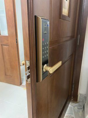 khoa dien tu van tay hafele el9000 912 1 - Khóa điện tử vân tay Hafele EL9000 Màu vàng 912.05.376