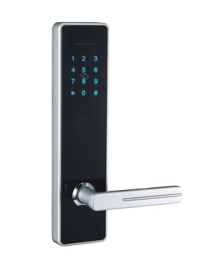 Khóa mật mã kết hợp khóa thẻ từ chìa cơ Newera NE8888KP53SN